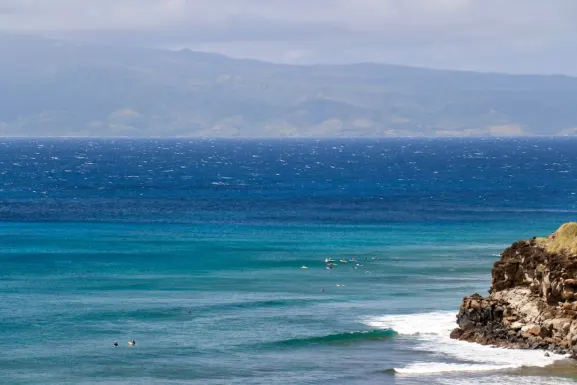 Kassu Casino Stuðningur